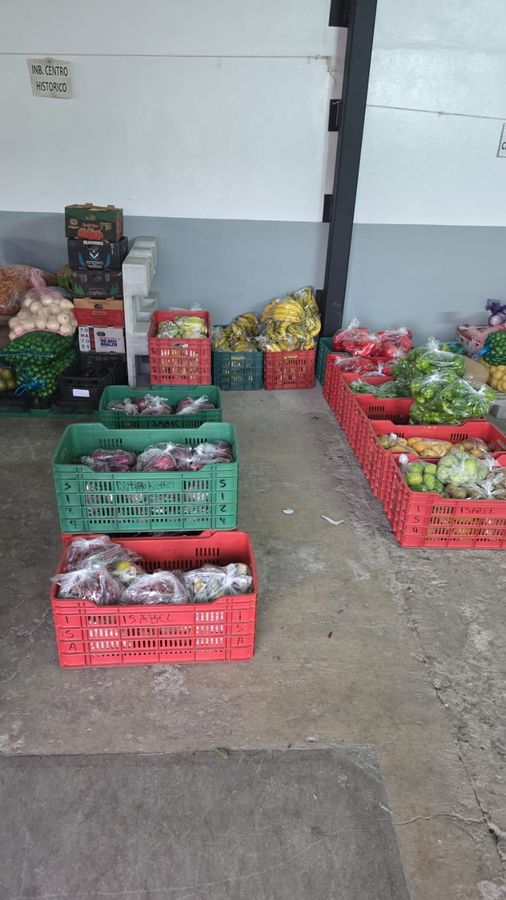 Cajas de frutas y verduras empacadas y etiquetadas por pedido