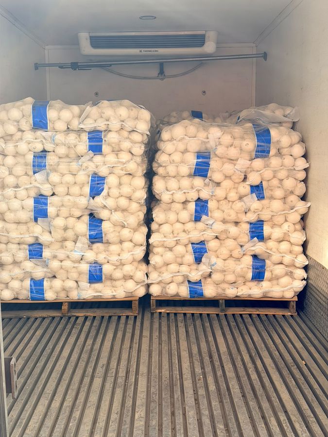 Dos tarimas de costales de producto dentro de un camión refrigerado